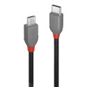 USB-kaabel LINDY 36892 Must Must/Hall 2 m