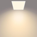 Philips Functional Ceiling light