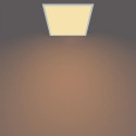Philips Functional Ceiling light