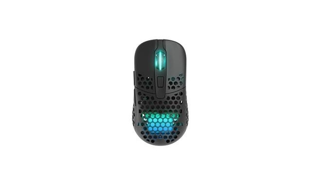 CHERRY XTRFY M42 RGB mouse Gaming Ambidextrous RF Wireless + USB Type-C Optical 19000 DPI