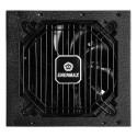 Enermax Revolution DFX power supply unit 850 W 20+4 pin ATX ATX Black