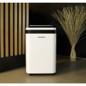 Dehumidifier with air purification function ADH501