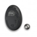 ProFit Ergo TB550 Trackball