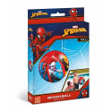 Beach Ball - Spiderman
