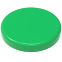 Whiteboard magnets DAHLE 38mm green 2pcs