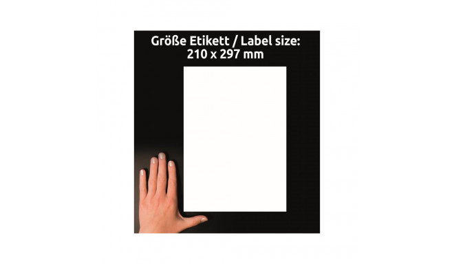 Sticker label AVERY Zweckform 210x297mm 40 sheets glossy (L7767-40)