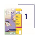Sticker label AVERY ZWECKFORM 210x297mm 40 sheets glossy (L7767-40)