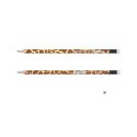 Graphite round section pencil with an eraser ErichKrause® Savanna HB (in tube 42 pcs.)