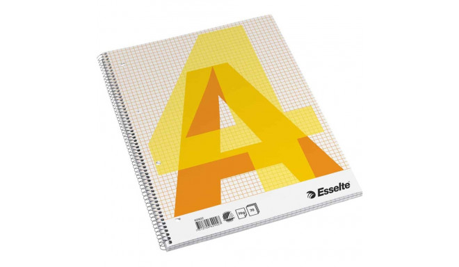 Kaustik spiraalköites A4 ESSELTE perforeeritud kartongkaaned ruuduline 70 lehte