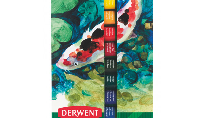 Akrüülvärv Derwent Academy 12ml, 12värvi