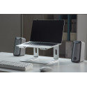 Gembird NBS-D1-01 laptop stand Aluminium, Silver 39.6 cm (15.6")