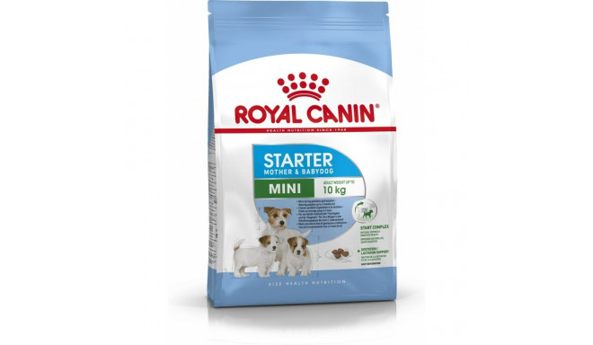 Sööt Royal Canin Starter Mother And Babydog Täiskasvanu Kana Linnud 1 kg