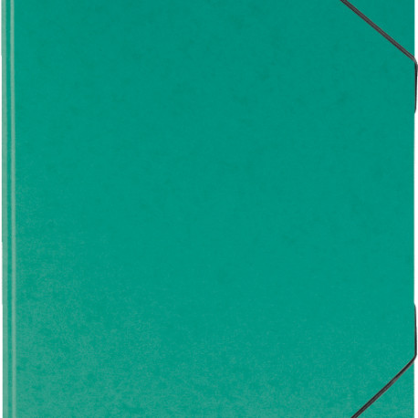 Kummiga mapp A3 roheline kartong, Brunnen