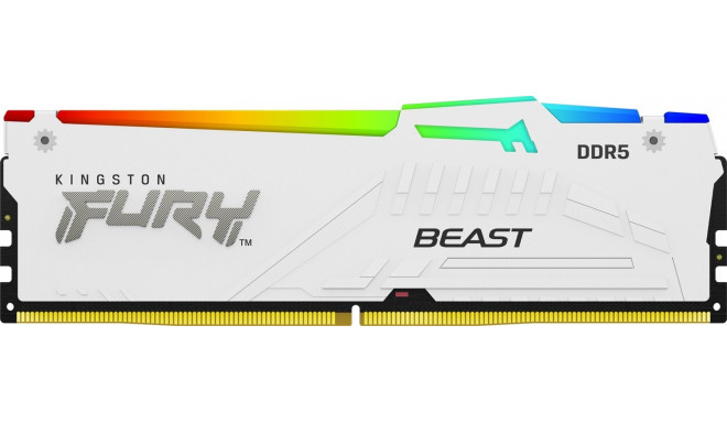Kingston Fury Beast RGB memory, DDR5, 16 GB, 5600MHz, CL36 (KF556C36BWEA-16)