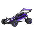 Quer Radiovadāmā mašīna Phantom 1:32 / 2.4 GHz / 2WD / Violets