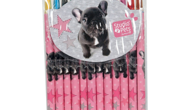 Paso PEI-3230 Studio Pets 12pcs Rotate Crayons