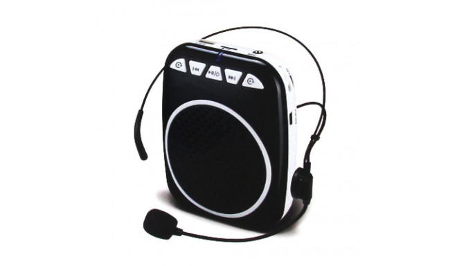 RoGer Portable MP3 Speaker Music Player With MicroSD Card and USB Slot + Microphon