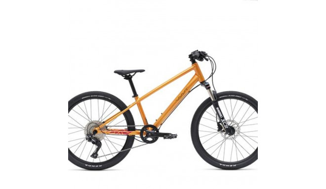 Vaast Y/1 MOUNTIAN Bicycle, 24'', Orange
