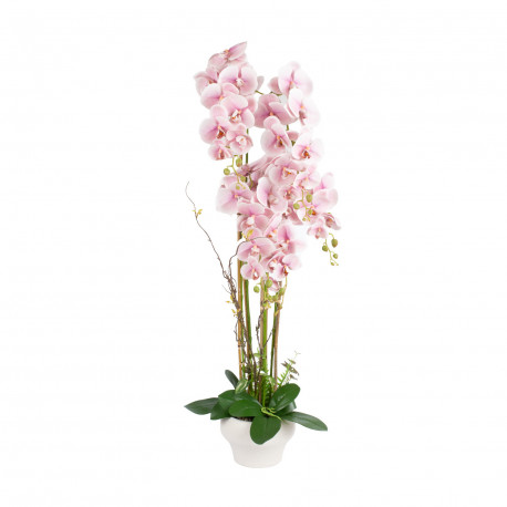Orchid GARDEN QUEEN H124cm, light pink