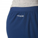 Adidas Climachill Corechill Short W B45808 shorts (M)