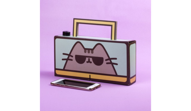 Pusheen - Boombox DIY
