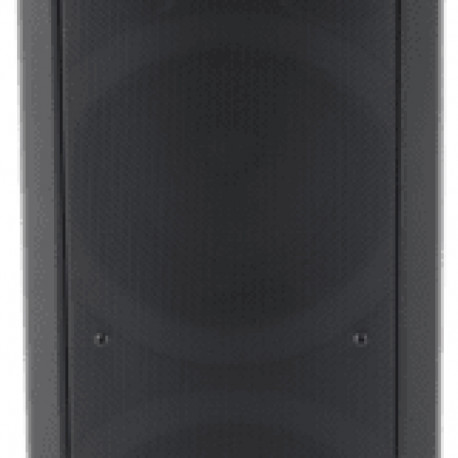 Reflexion PS09BT Party Lautsprecher BT schwarz