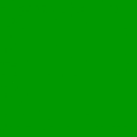 Fomei Karstumizturīgs filtrs SLS HT 122 – Fern Green, 1,22 x 7.62m