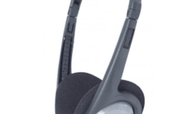 Panasonic RP-HT090E-H On-Ear 3,5mm grau