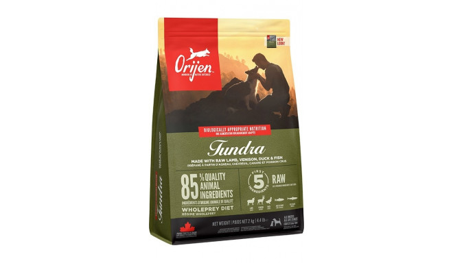 ORIJEN Tundra kuiv koeratoit 2 kg
