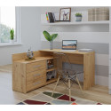 Topeshop DANY ARTISAN KPL computer desk Oak colour