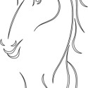 CARVER TEMPLATE DOLPHIN