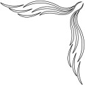 CARVER TEMPLATE CORNER DESIGN ´´CASCADE´´