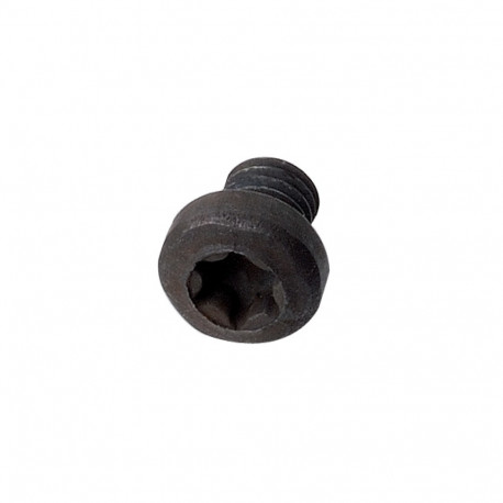 Kruvi, torx T9 M4X3X3 D=6
