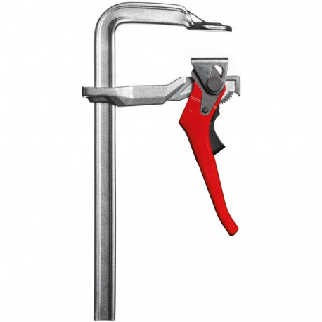 Kang-pitskruvi Bessey GH 1000/120