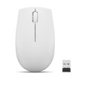 Lenovo 300 WIRELESS ?GREY mouse Ambidextrous RF Wireless Optical 1000 DPI