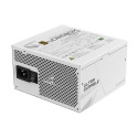 Gigabyte UD850GM PG5W power supply unit 750 W 20+4 pin ATX ATX Black