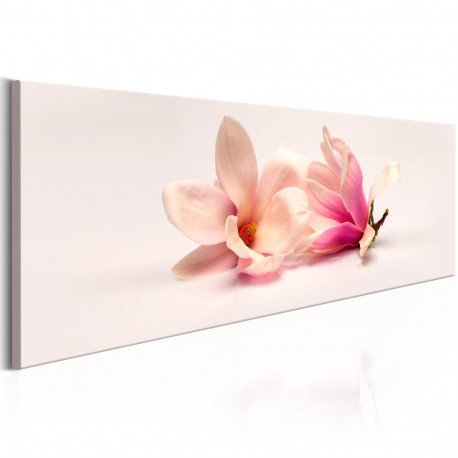 Seinapilt - Beautiful Magnolias - 120x40