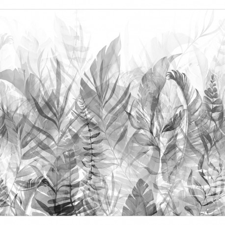 Fototapeet - Magic Grove (Black and White) - 400x280