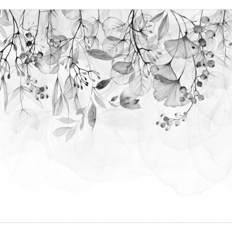 Fototapeet - Foggy Nature - Grey - 250x175