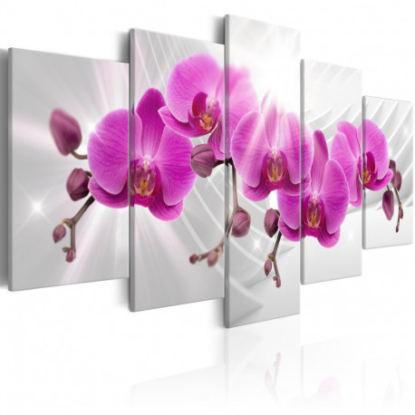Seinapilt - Abstract Garden: Pink Orchids - 200x100