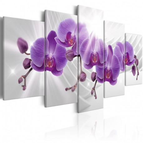 Seinapilt - Abstract Garden: Purple Orchis - 200x100