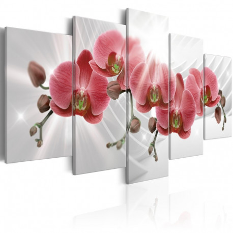 Seinapilt - Abstract Garden: Red Orchis - 100x50