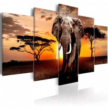 Seinapilt - Elephant Migration - 100x50