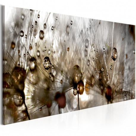 Seinapilt - Drops of Water - 135x45