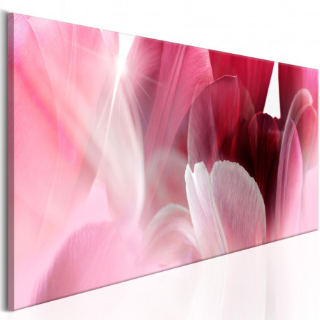 Seinapilt - Flowers: Pink Tulips - 120x40
