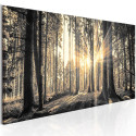 Seinapilt - Forest Sun - 150x50