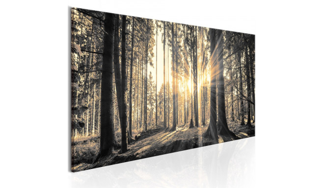 Seinapilt - Forest Sun - 150x50