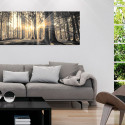 Seinapilt - Forest Sun - 150x50