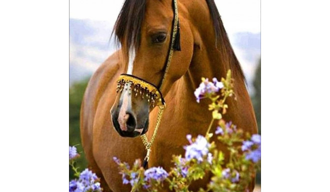 Diamond mosaic - Horse in flowers