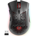 WIRELESS GAMINGO MOUSE WARLOCK GM-709L